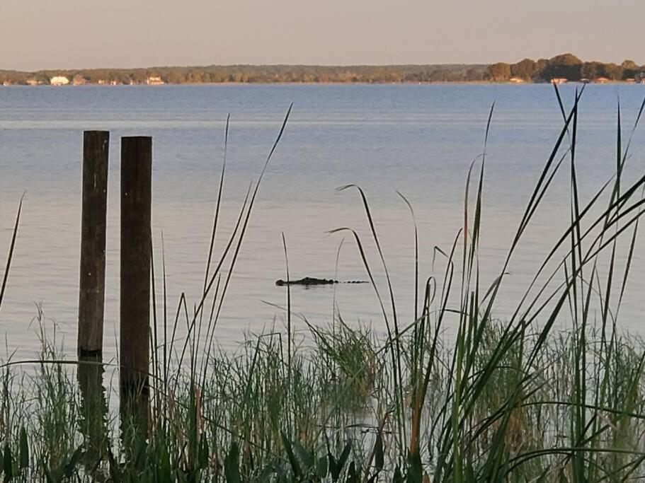 Camp St. Cabanas Unit 2 On Lake Dora Tavares Eksteriør bilde